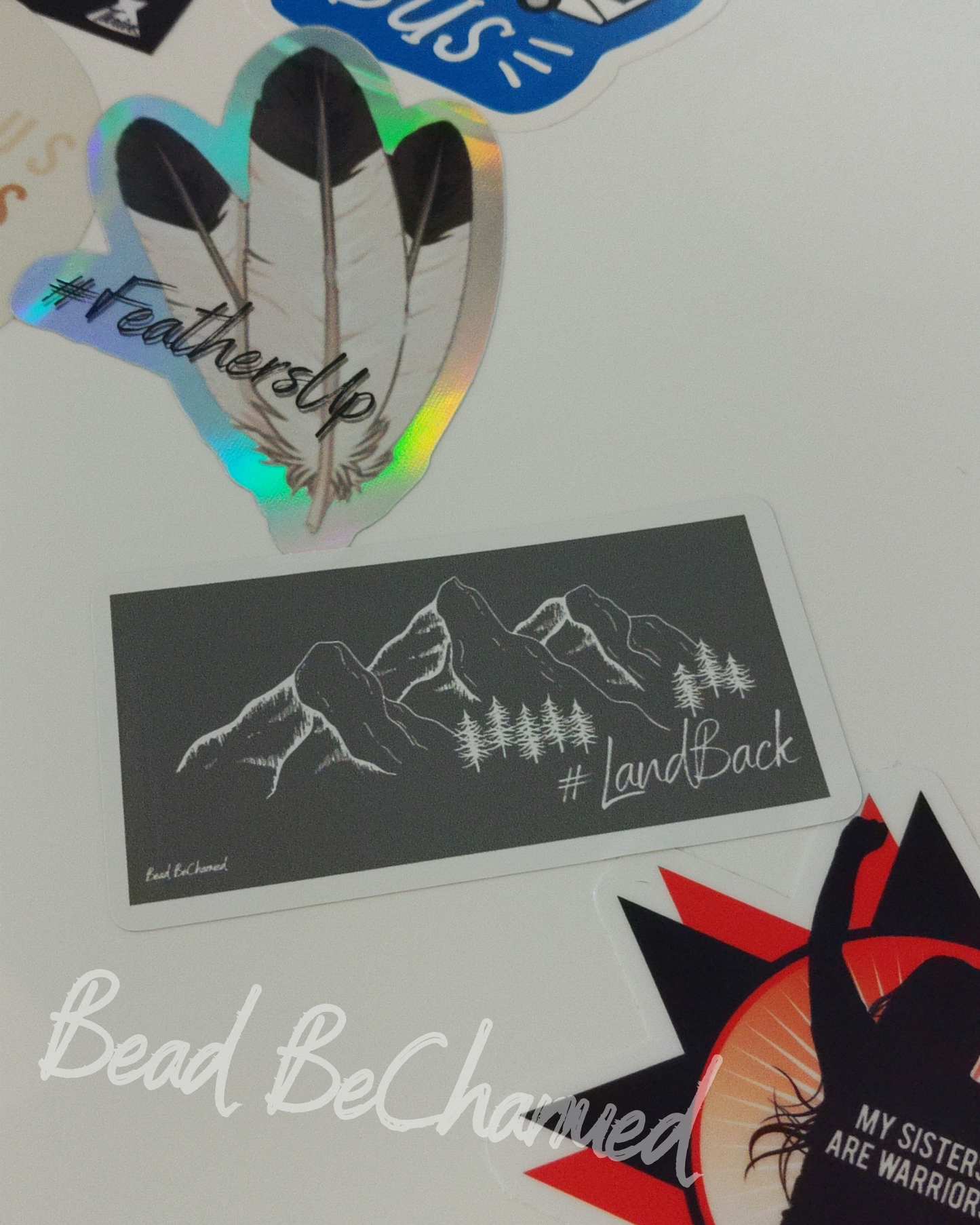Stickers, 'Land Back' - Kiss-Cut Vinyl Stickers, Indigenous Justice Awareness Sticker